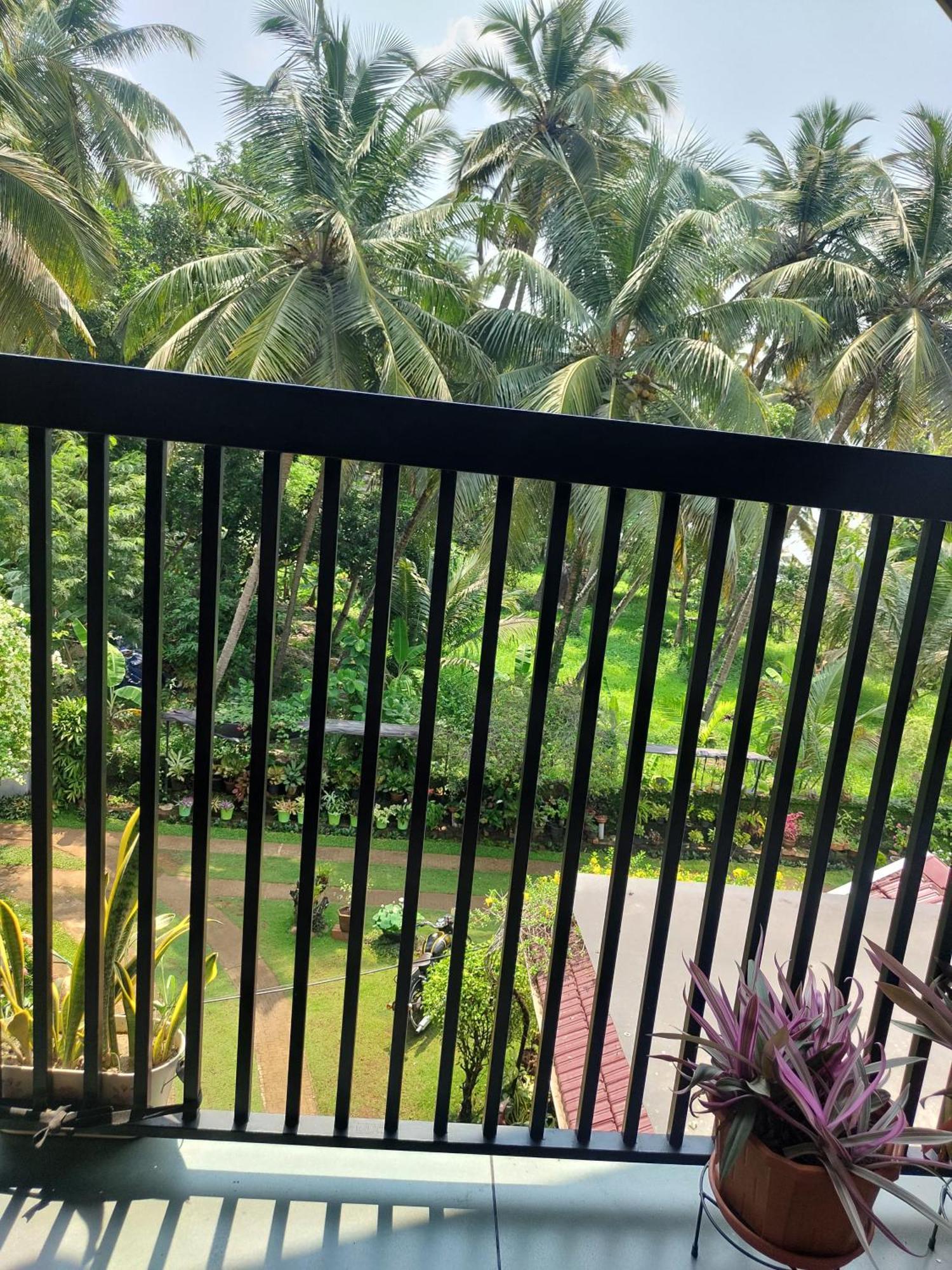 Maleyam Homestay Riverside Kozhikode Ngoại thất bức ảnh